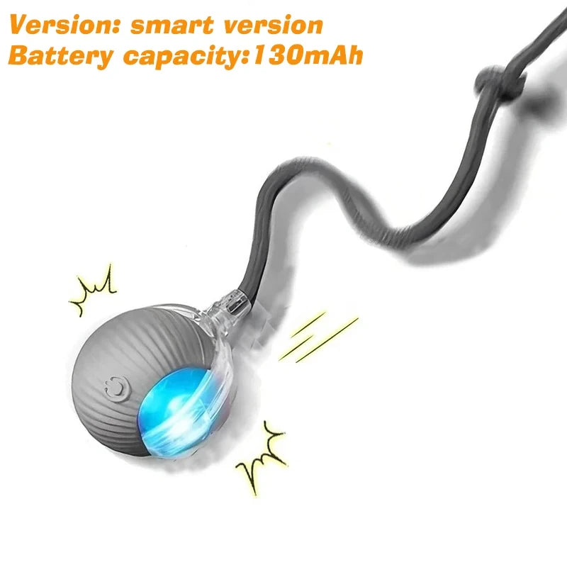 Smart Interactive Rolling Pet Ball