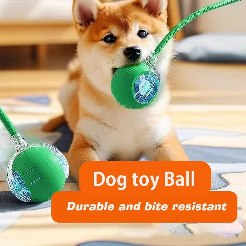 Smart Interactive Rolling Pet Ball