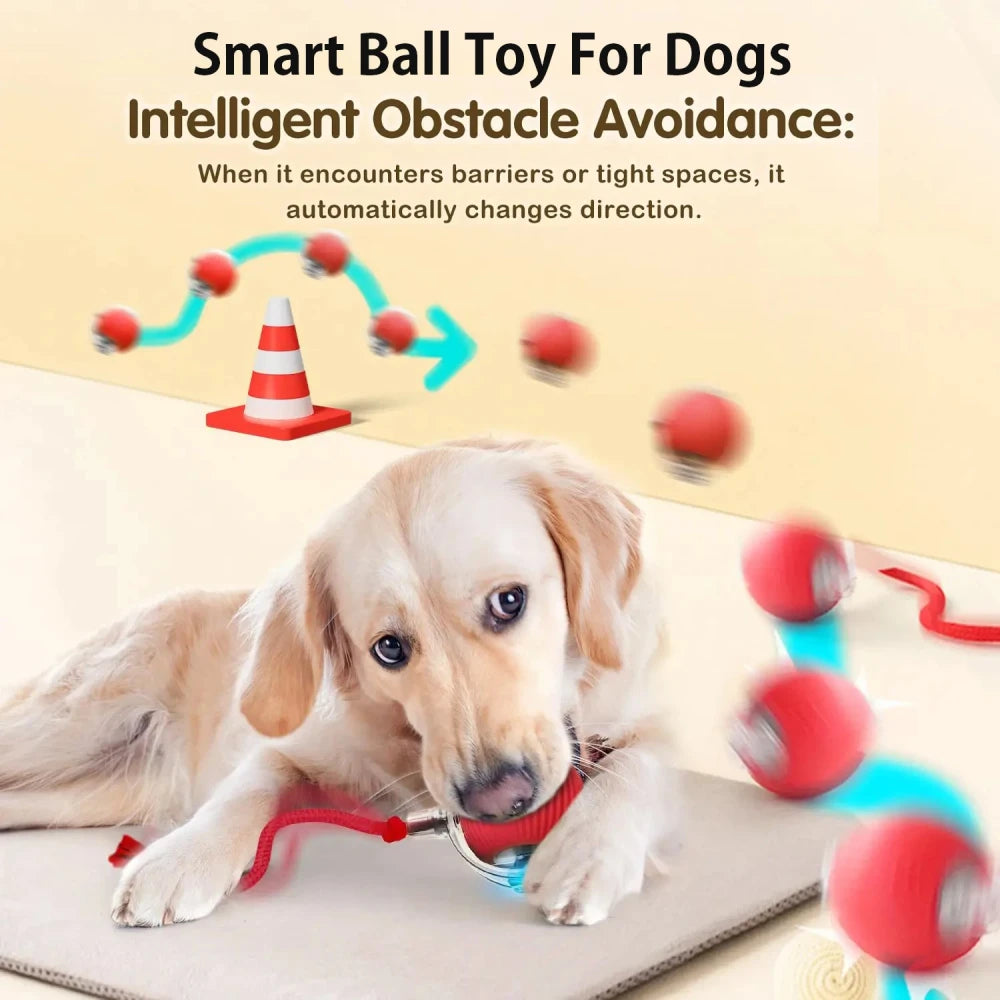 Smart Interactive Rolling Pet Ball