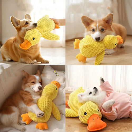 Plush Teething Toys