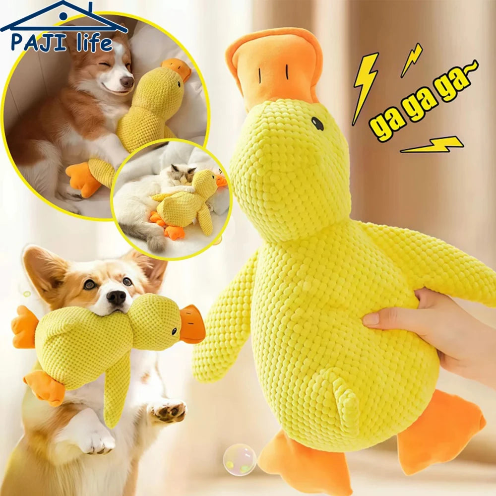 Plush Teething Toys